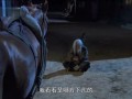 天下粮仓