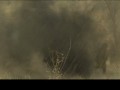 将门风云