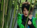 春光灿烂猪九妹