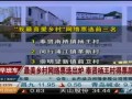 最美乡村网络票选出炉 奉贤杨王村得票居首
