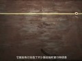 微电影《微绑架》 小心微博暴露你的隐私