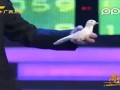 2012中国春晚最最最最搞笑的表演