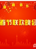2011辽宁春晚回顾